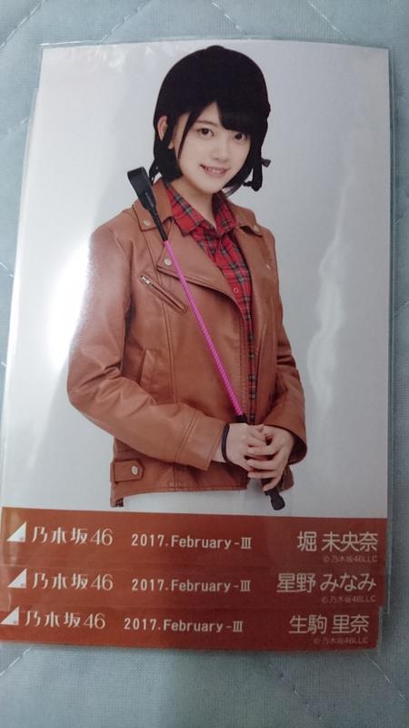 乃木坂46 2月 乗馬風 19枚セット ライブ・握手会グッズの画像